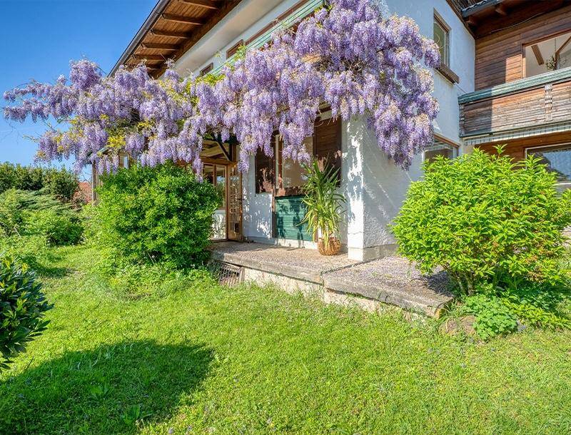 HP7-Einfamilienhaus-Hallwang-Garten