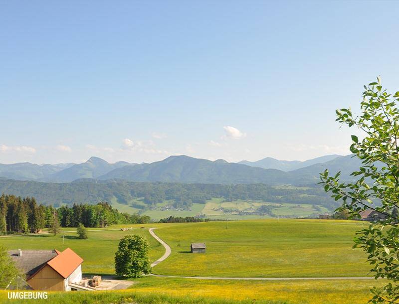 HP9-4-Zimmer-Wohnung-Thalgau-Umgebung