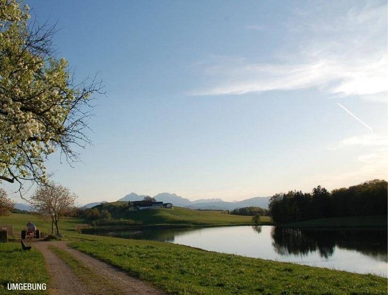 HP8-Mittelreihenhaus-Elixhausen-Umgebung