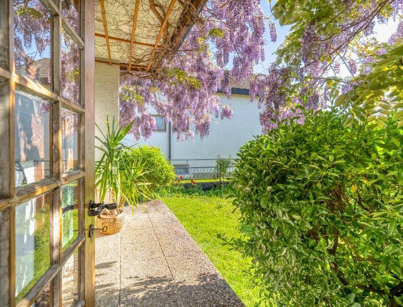 Idyllischer Gartenbereich mit blühendem Blauregen, grünem Rasen und einem Zugang zum Haus.