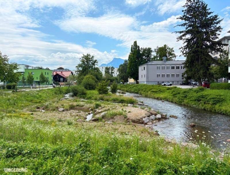 Malerische Flusslandschaft mit grünen Ufern, Bäumen und Bergen im Hintergrund, umgeben von Gebäuden.