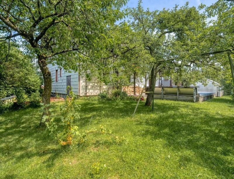 Grüner Gartenbereich mit Obstbäumen und viel natürlichem Schatten.