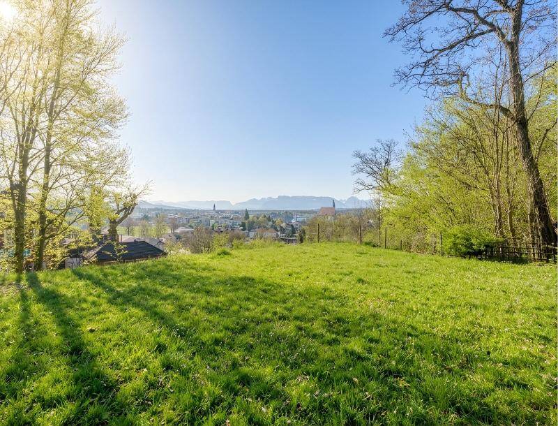 Weitläufige grüne Rasenfläche mit Bäumen und einem malerischen Blick auf die Stadt und Berge.