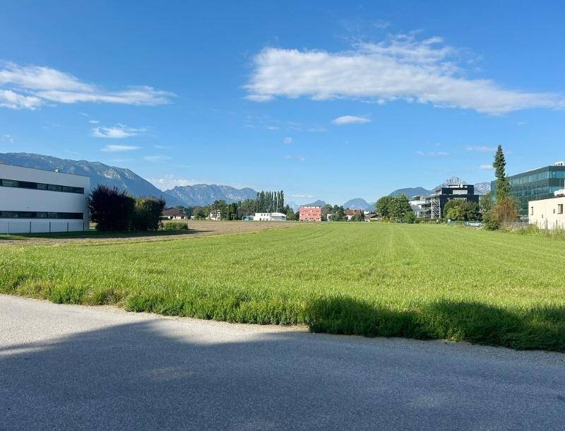 Weite grüne Wiese mit majestätischen Bergen im Hintergrund unter einem klaren blauen Himmel.