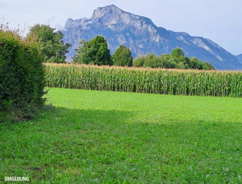 Weitläufige grüne Landschaft mit Maisfeldern und majestätischem Bergblick im Hintergrund.