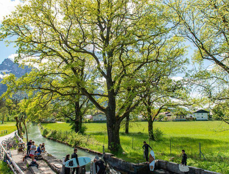 Idyllische Landschaft mit Fluss, großen Bäumen und Bergen im Hintergrund.