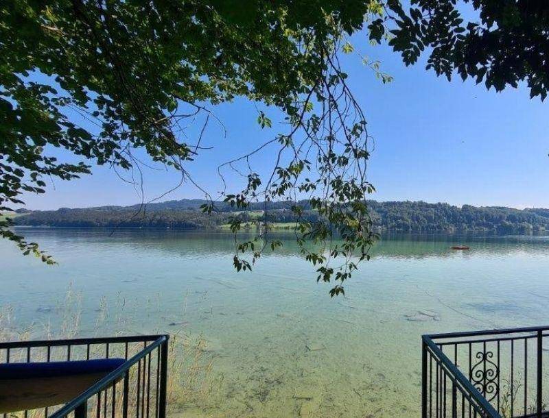 Malerischer Blick auf einen klaren See mit bewaldeten Ufern unter blauem Himmel.