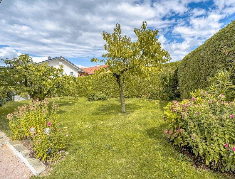 Gepflegter Garten mit Rasenfläche, jungen Bäumen und hohen Hecken für Privatsphäre.