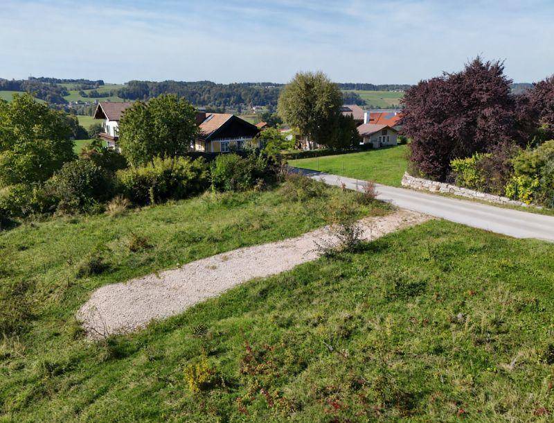 Panoramablick über die grüne Landschaft mit Häusern und einer Landstraße unter blauem Himmel.