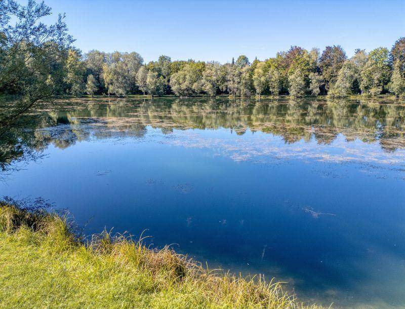 Ruhiger See umgeben von üppiger grüner Vegetation unter einem klaren blauen Himmel.