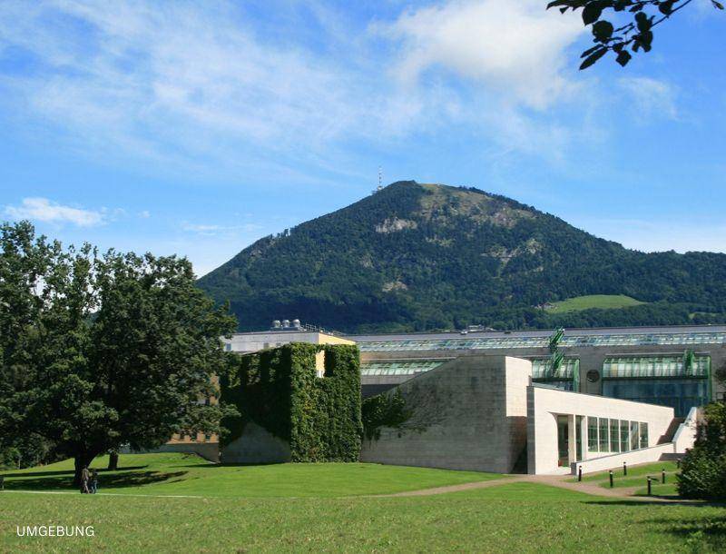 Grüne Umgebung mit moderner Architektur und imposantem Berg im Hintergrund.