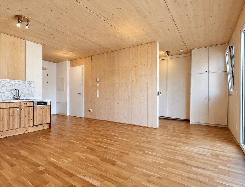 HP3-1-Zimmer-Whg-Mondsee-Wohnraum1
