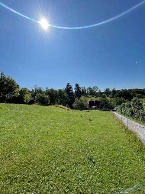 Sonnige Wiesenlandschaft mit einem Haus im Hintergrund und hellem Sonnenlicht am Himmel.