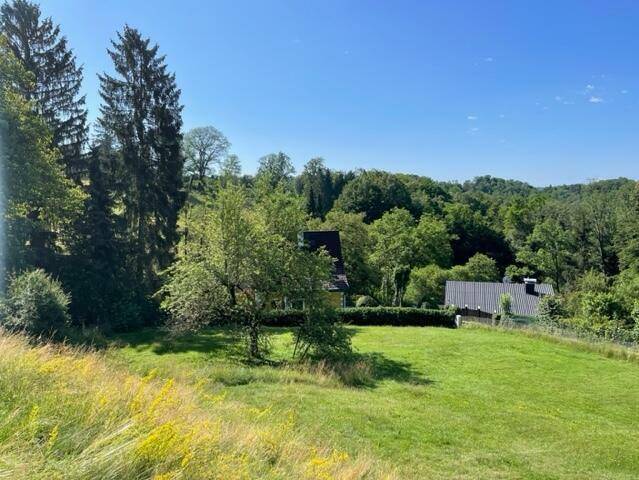 Idyllische Landschaft mit grünen Wiesen, hohen Bäumen und zwei Häusern in der Ferne.