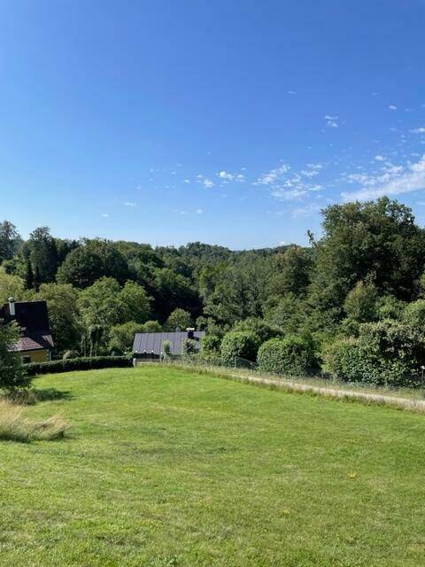 Weitläufige grüne Wiese mit Bäumen und einem Haus mit Solaranlage im Hintergrund unter blauem Himmel.