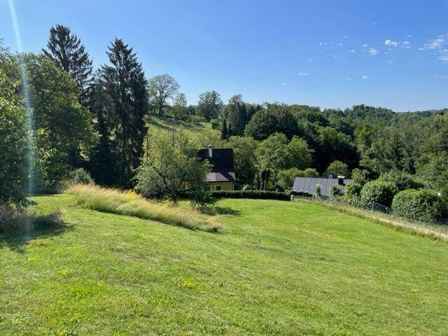 Idyllische Landschaft mit grünen Wiesen, Bäumen und zwei Häusern in der Ferne an einem sonnigen Tag.