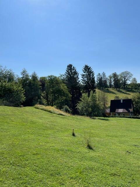 Sonnige Wiese mit einem Haus und hohen Bäumen im Hintergrund, umgeben von Natur.