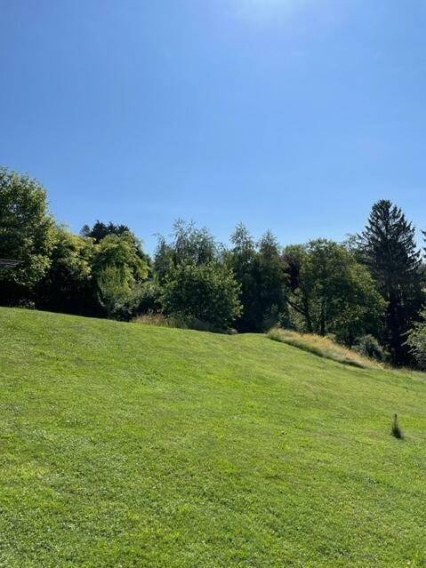Grüne, sanft ansteigende Wiese unter strahlend blauem Himmel, umgeben von dichtem Baumbestand.