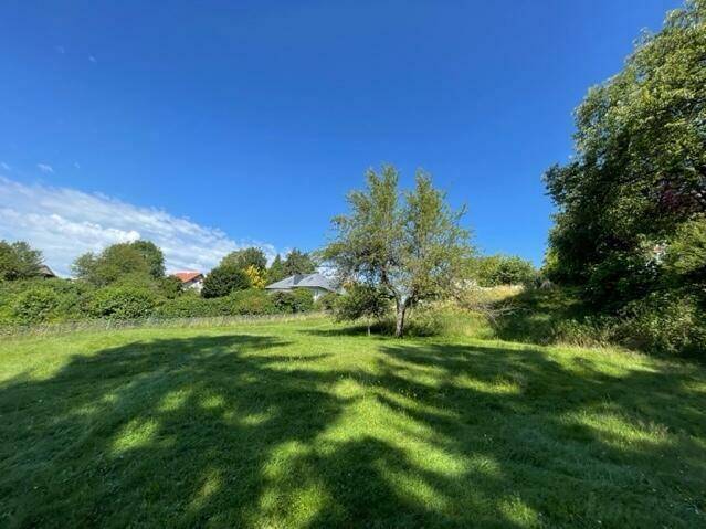 Sonnige Wiese mit Schattenwurf von Bäumen und einem Haus in der Ferne, umgeben von Natur.