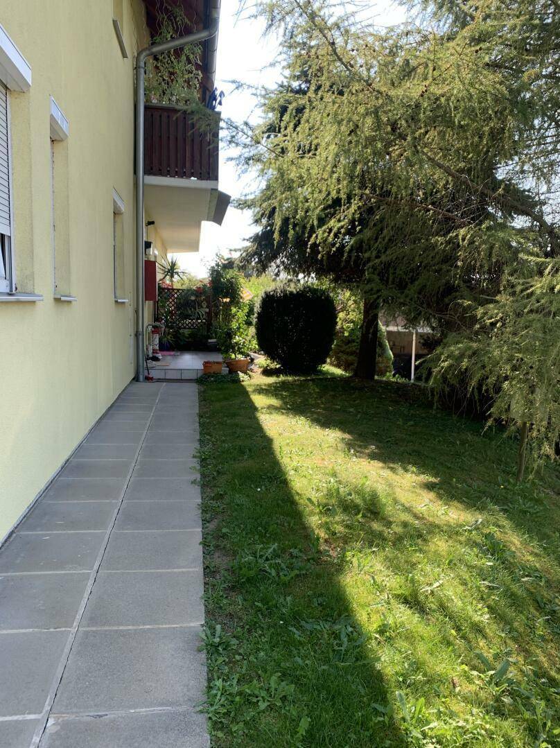 Seitlicher Gartenbereich mit Rasen, Bäumen und einem gepflasterten Weg entlang des Hauses.
