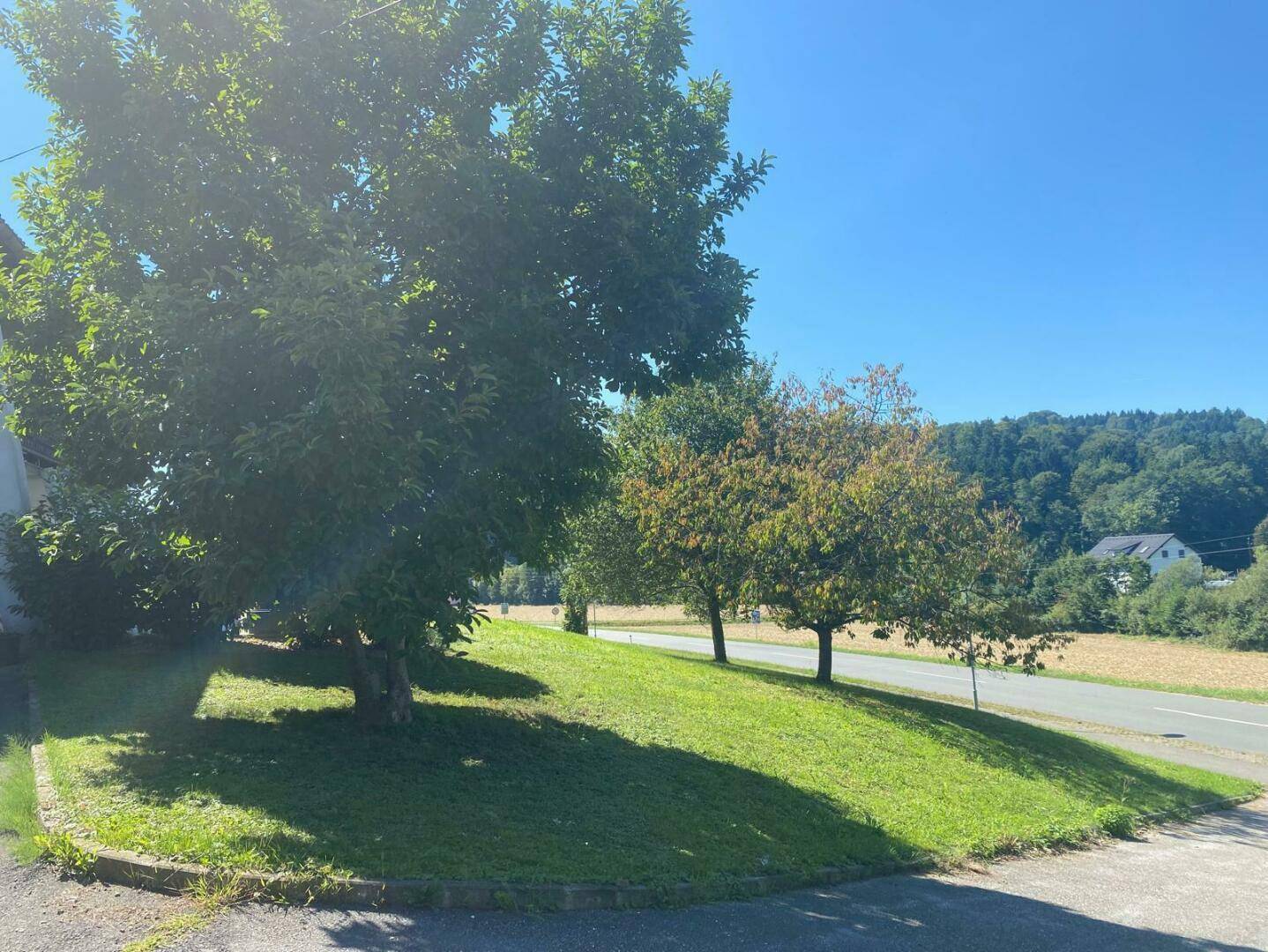 Grüne Landschaft mit Bäumen und Feldern unter blauem Himmel an einem sonnigen Tag.