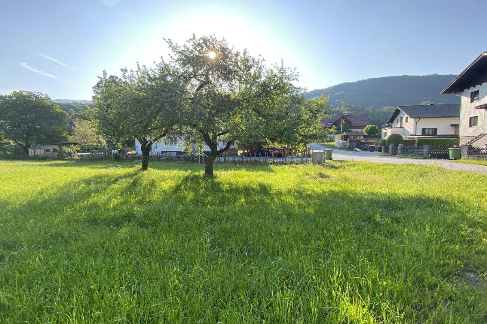 Blick Osten | BAD ISCHL Grundstück