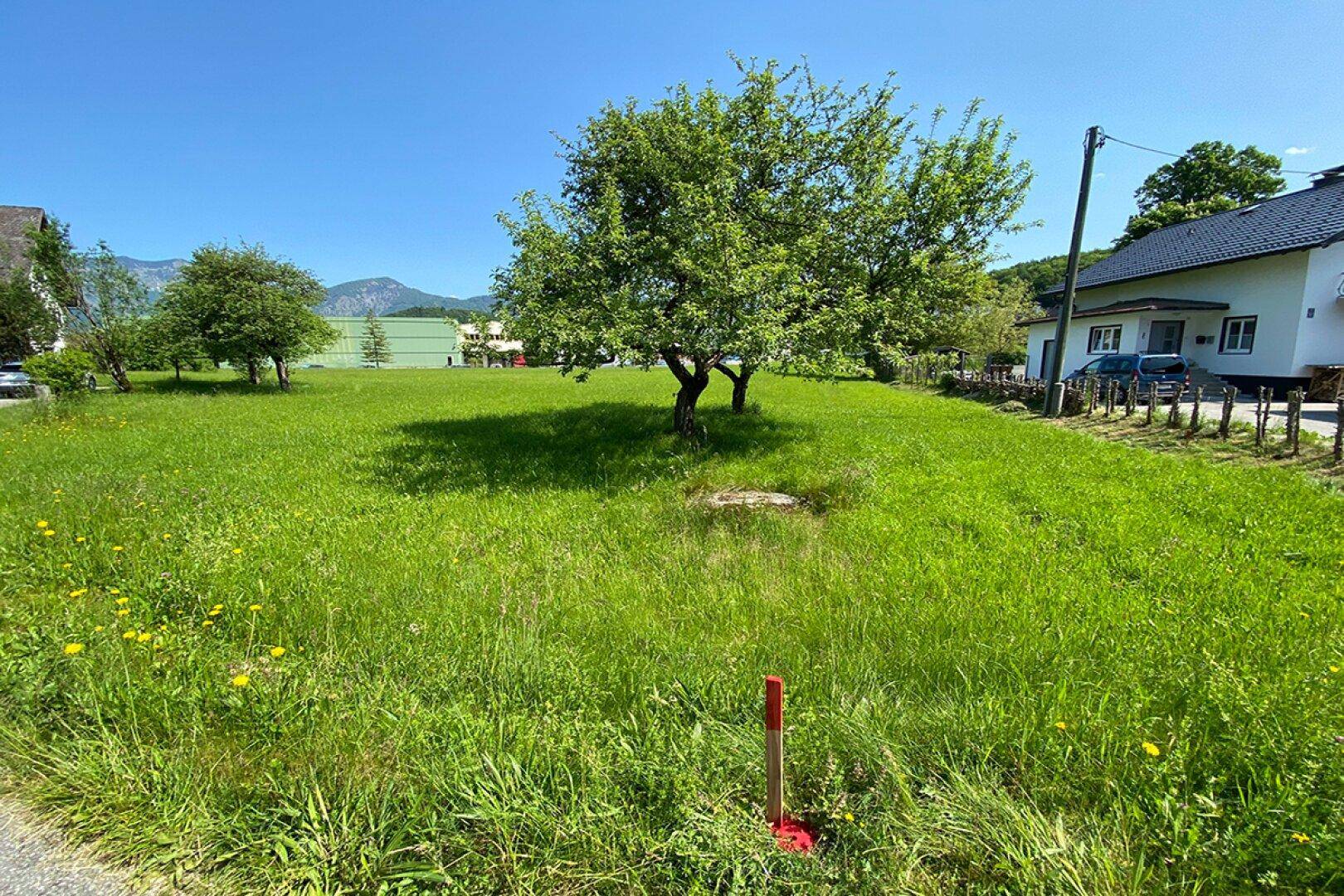 Blick Norden | BAD ISCHL Grundstück