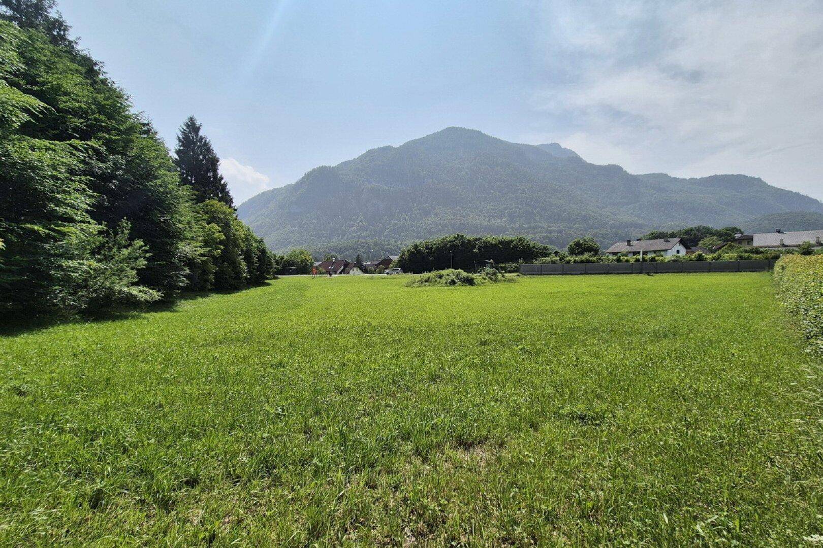 Große grüne Wiese umgeben von Bäumen mit einer beeindruckenden Bergkulisse im Hintergrund.