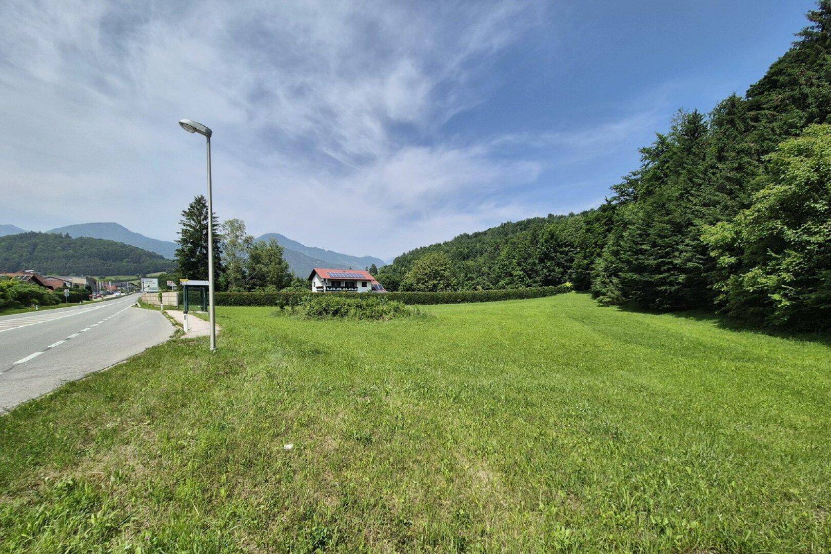 Grünes Grundstück neben einer Landstraße mit einem Haus und Bergen in der Ferne.
