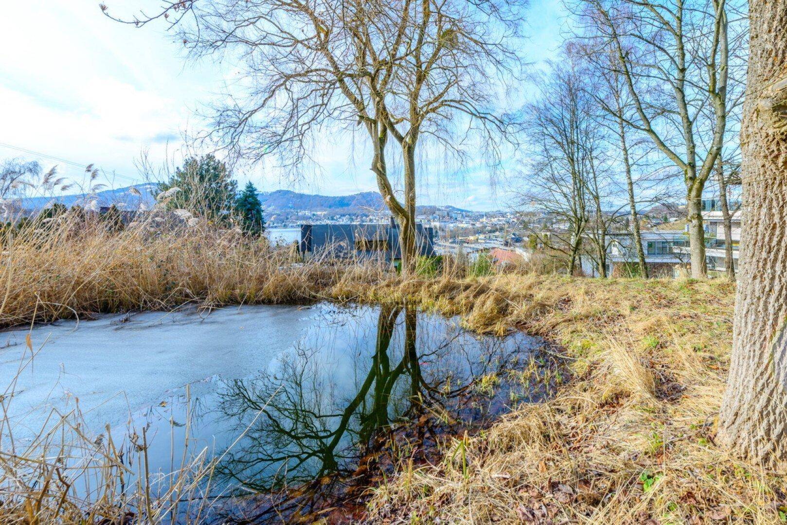 Natürlicher Gartenteich mit Schilf und Blick auf die Stadt und den See.