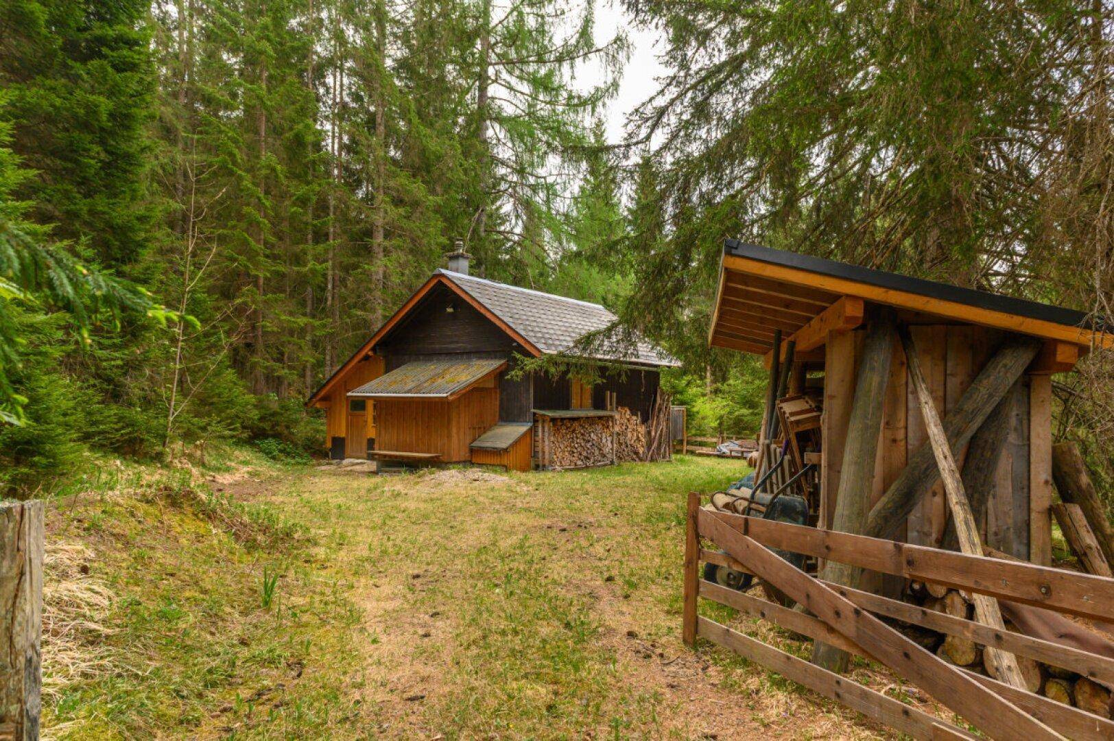 Holzhütte mit angrenzendem Holzschuppen, umgeben von Wald und einer Lichtung.