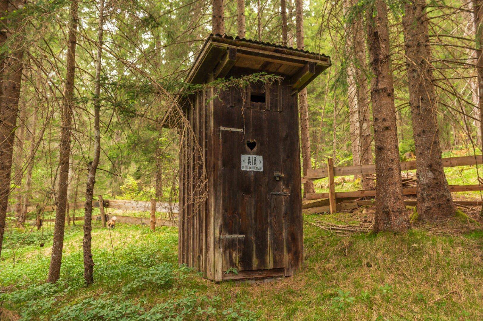 Rustikales Holz-Plumpsklo im Wald, umgeben von Bäumen und natürlicher Vegetation.