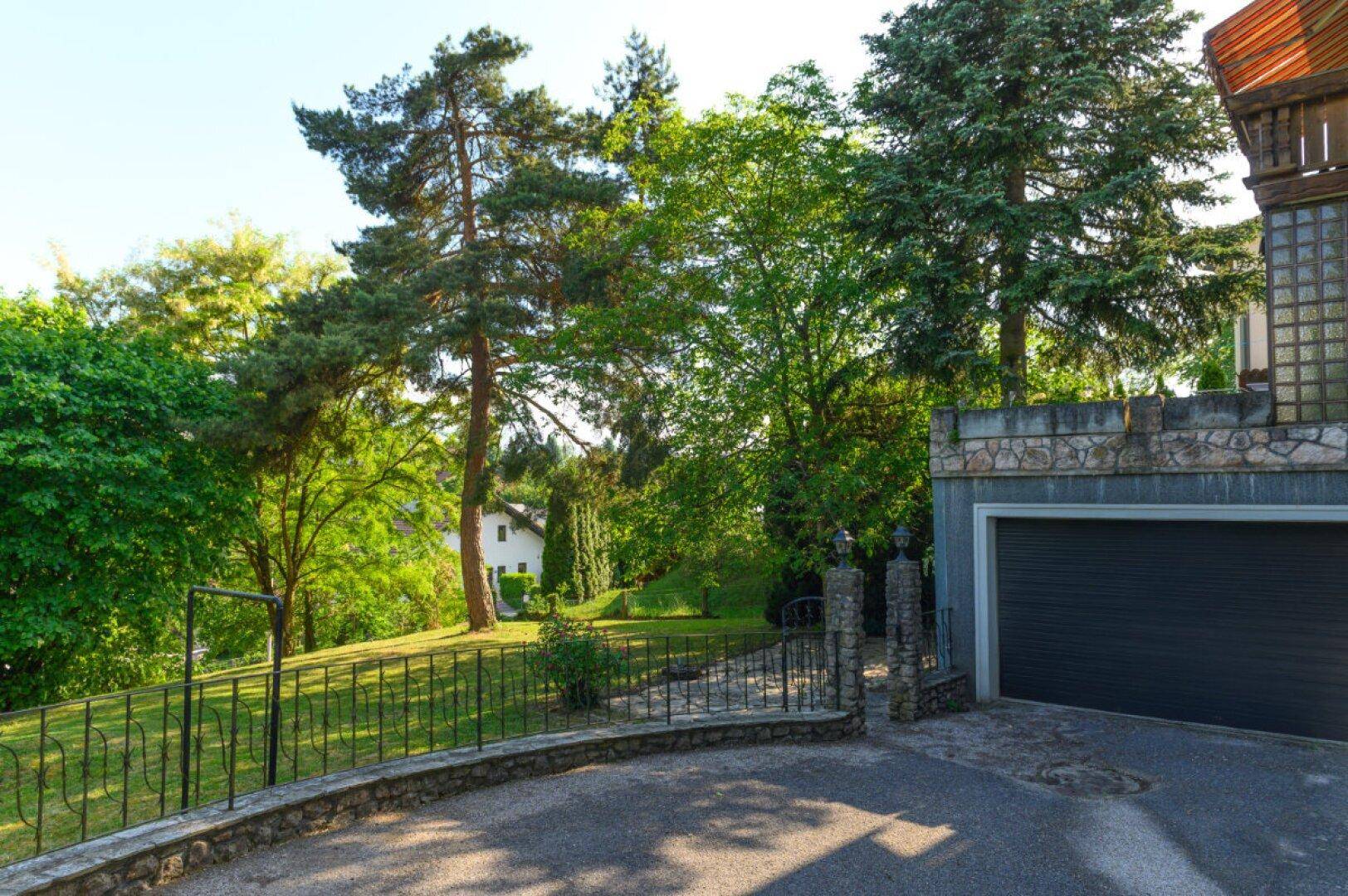 Gartenbereich mit Rasenfläche, Bäumen, Auffahrt und einer Garage am Grundstück.