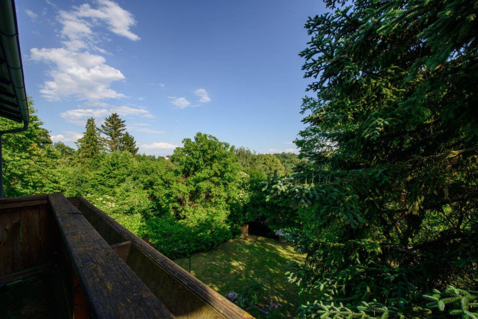 Blick vom Balkon auf die weite grüne Landschaft und umliegende Bäume.