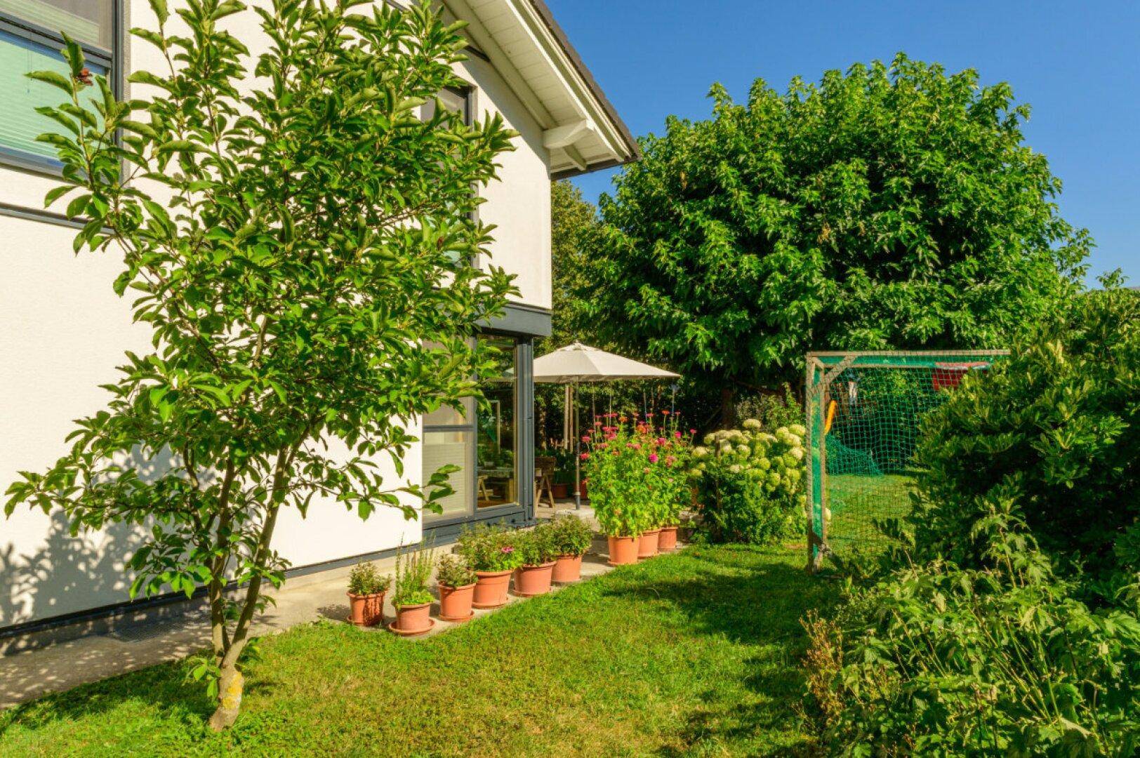Gepflegter Gartenbereich mit Rasenfläche, Bäumen und einem Fußballtor neben dem Haus.