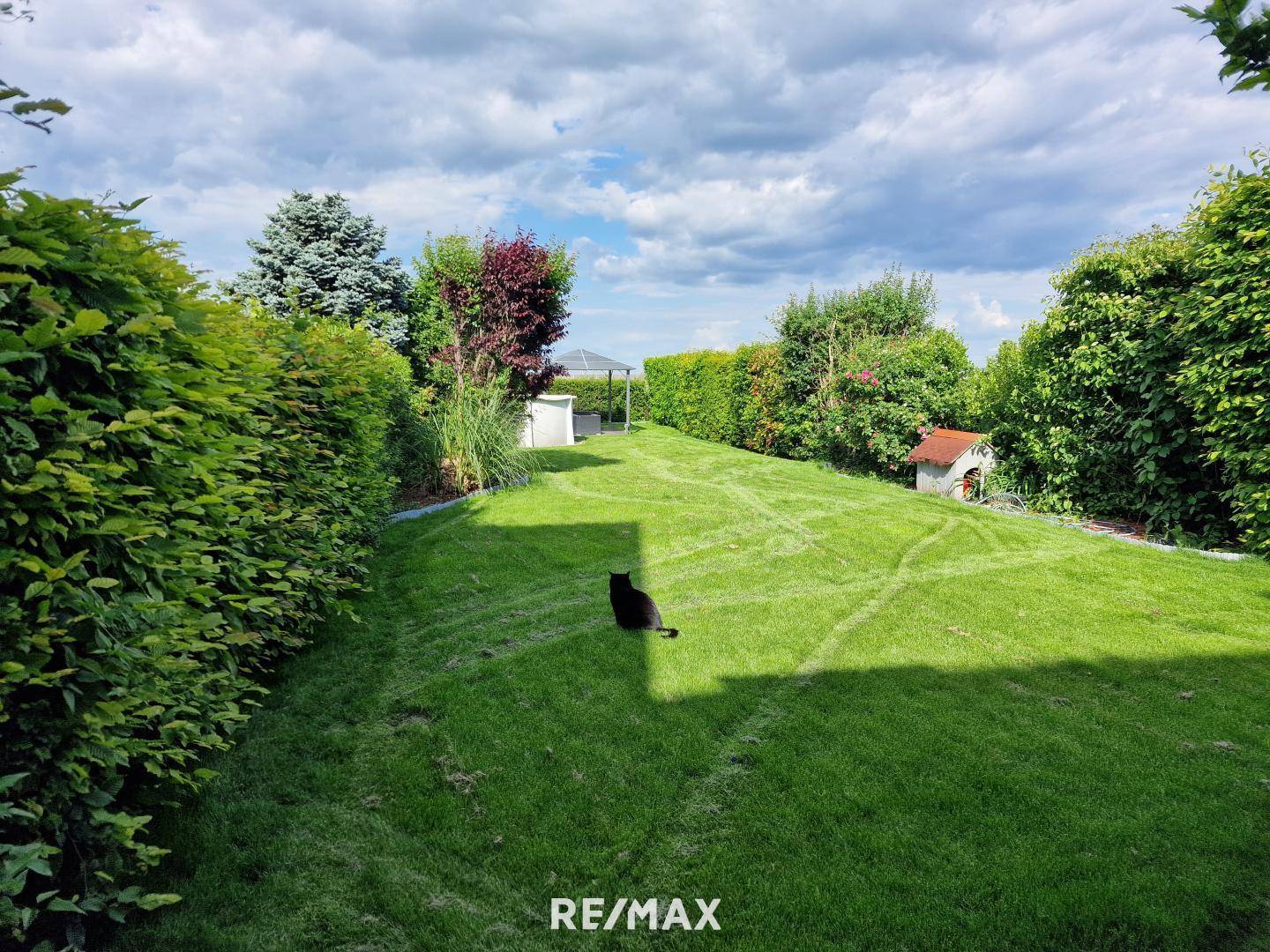 Garten / neuer Rollrasen