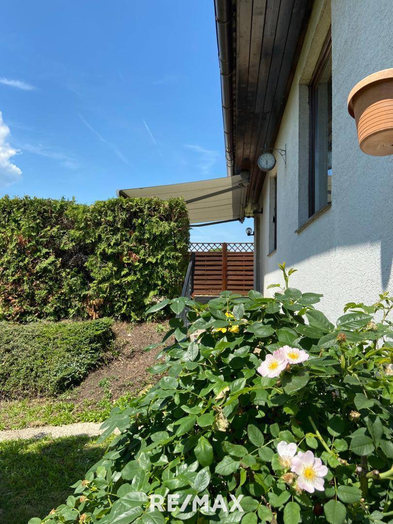 Garten 4