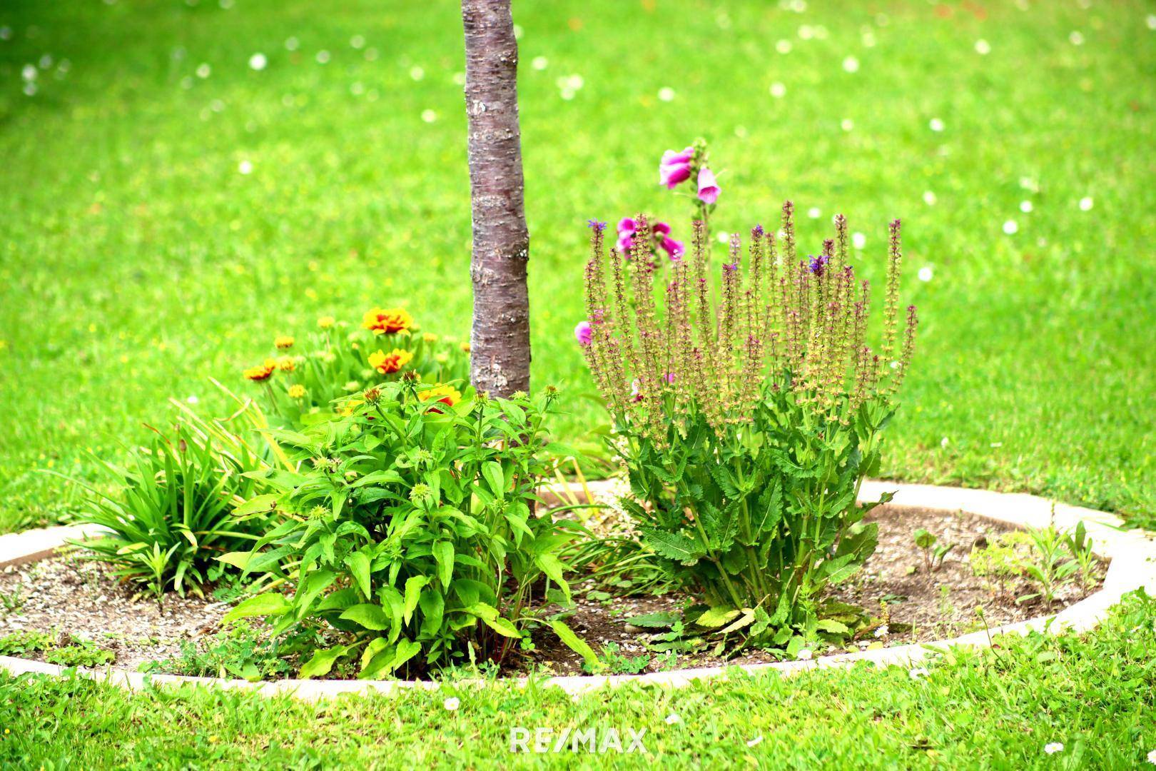 Gartenimpression 5