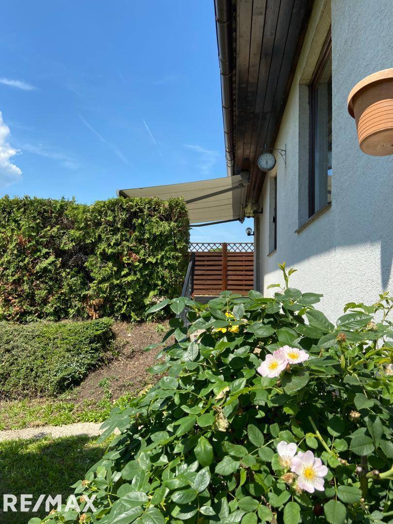 Garten 4
