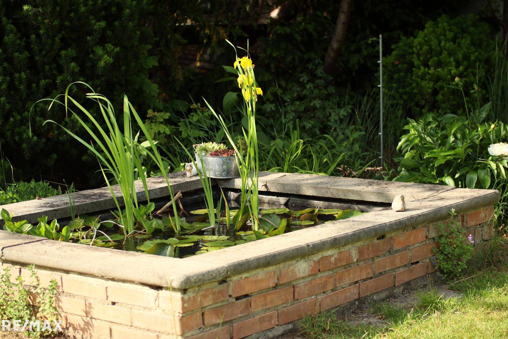 Garten Impression 6