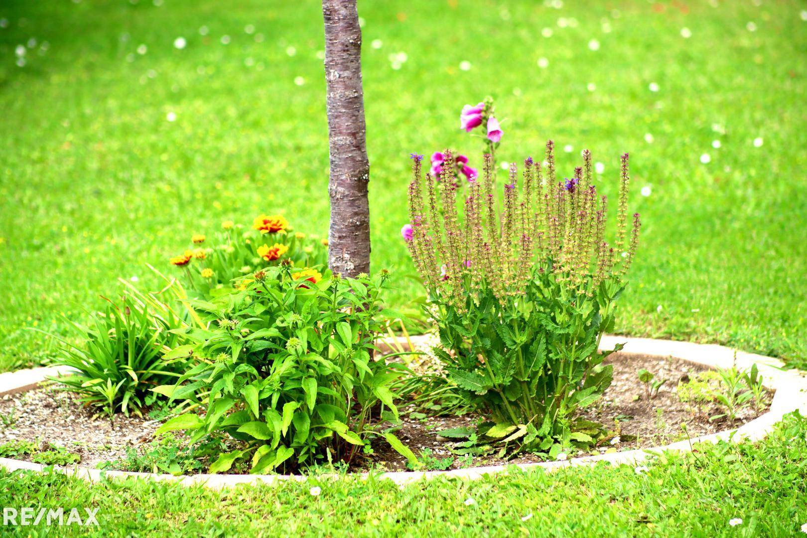 Gartenimpression 5