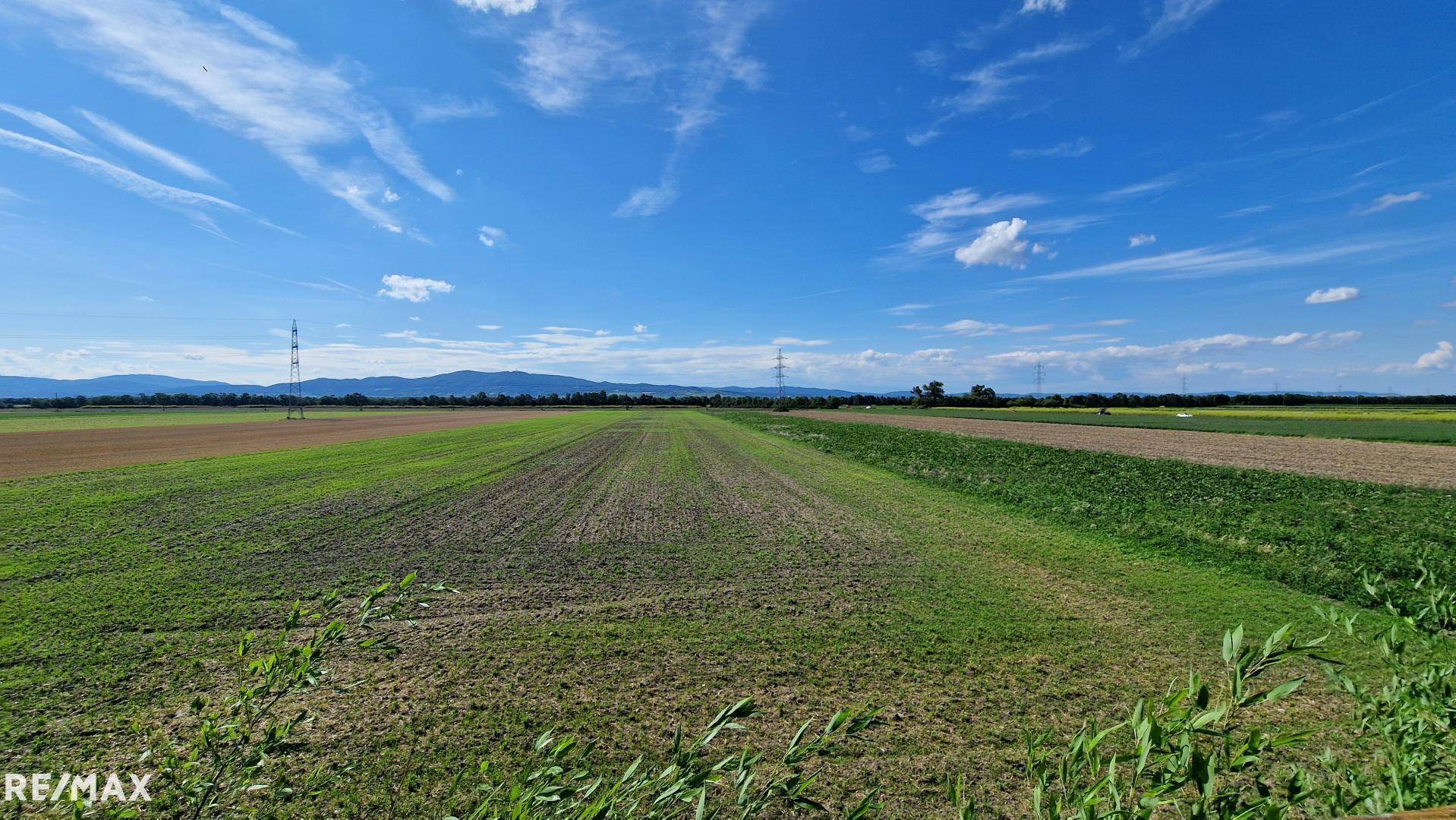 Aussicht vom Balkon