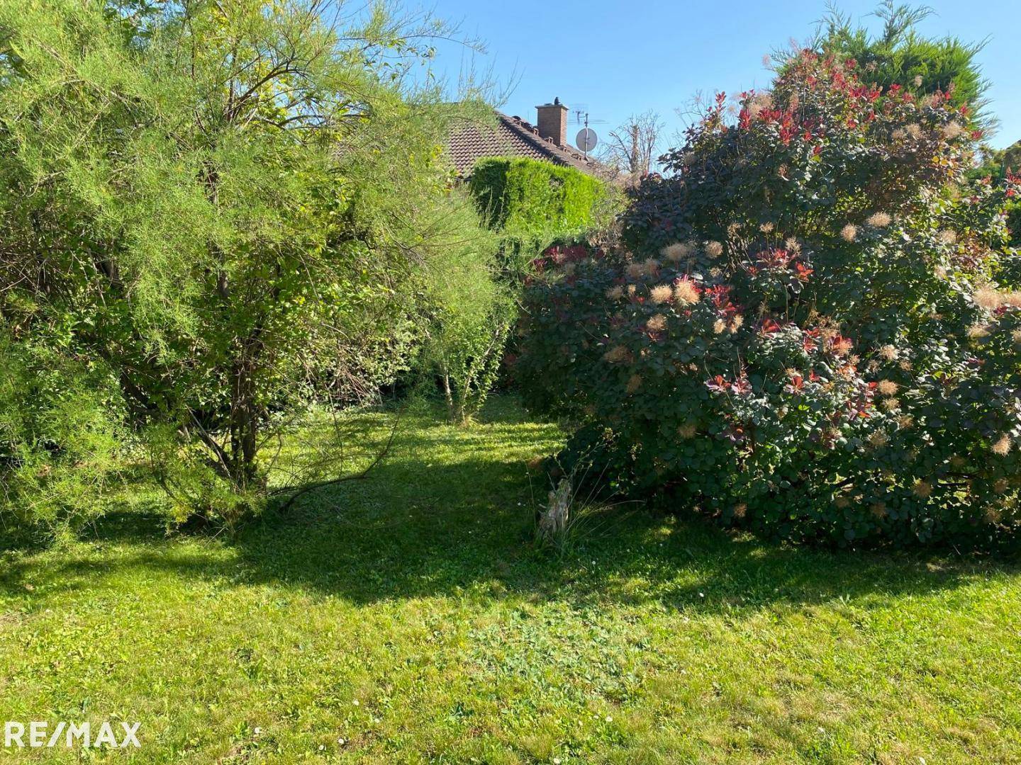 Gartenimpression