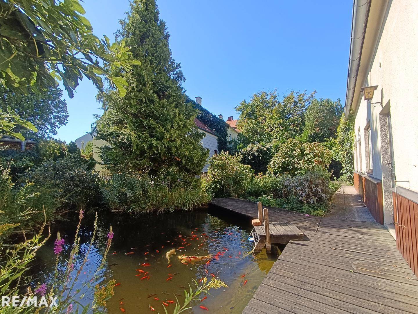 Teich - bearbeitet
