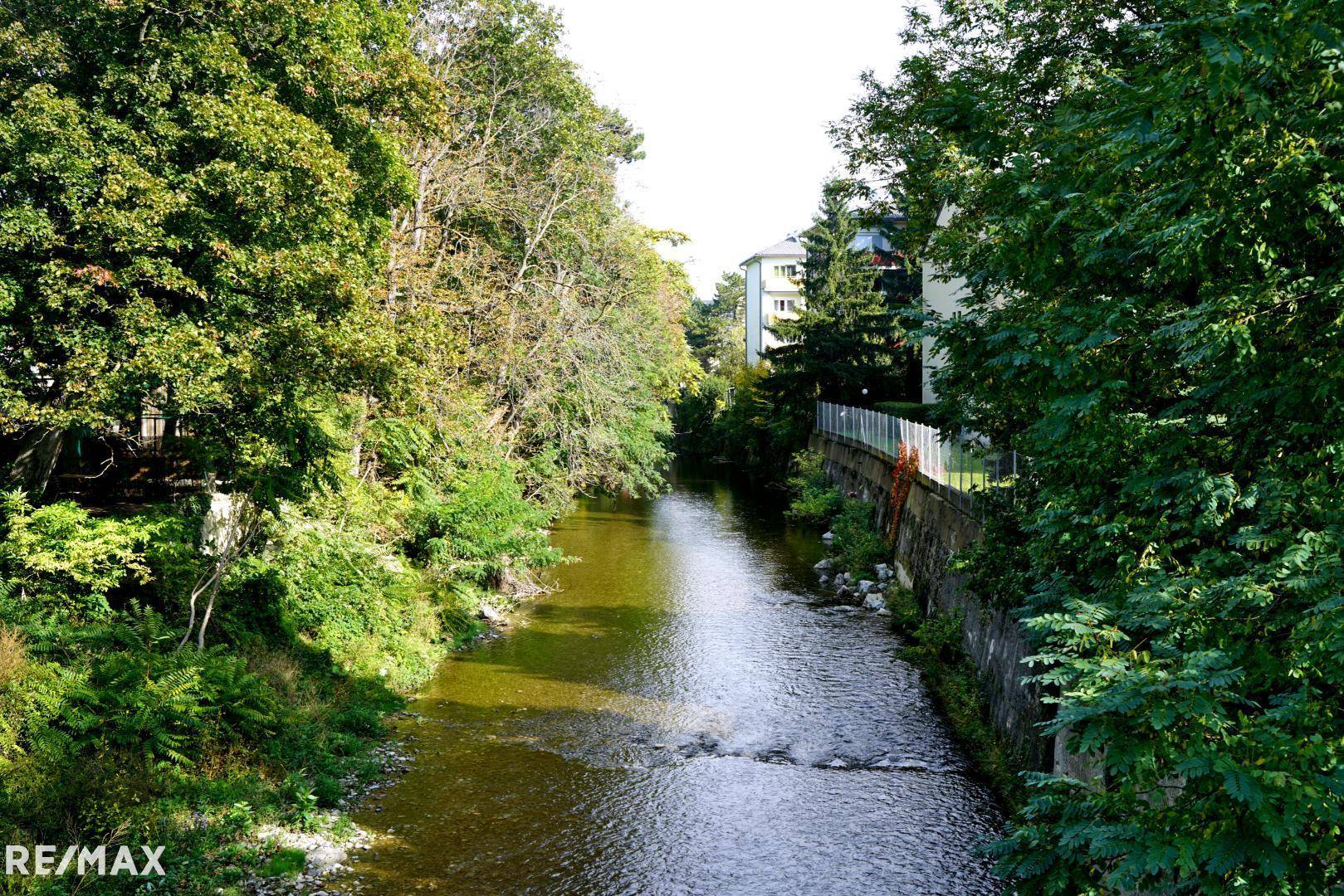 Lage an der Schwechat