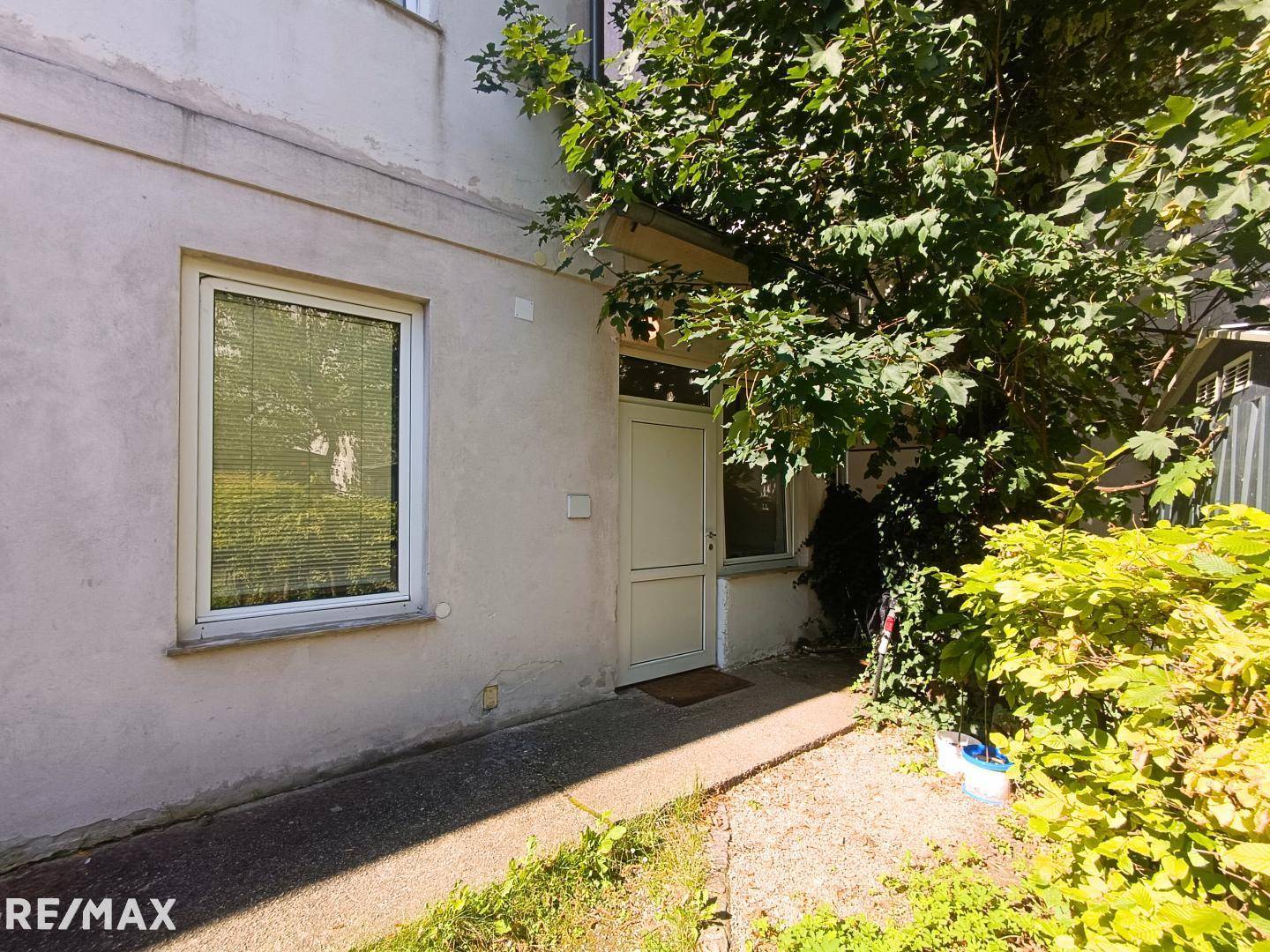 Eingangsbereich eines älteren Gebäudes mit Fenster und üppiger Vegetation.