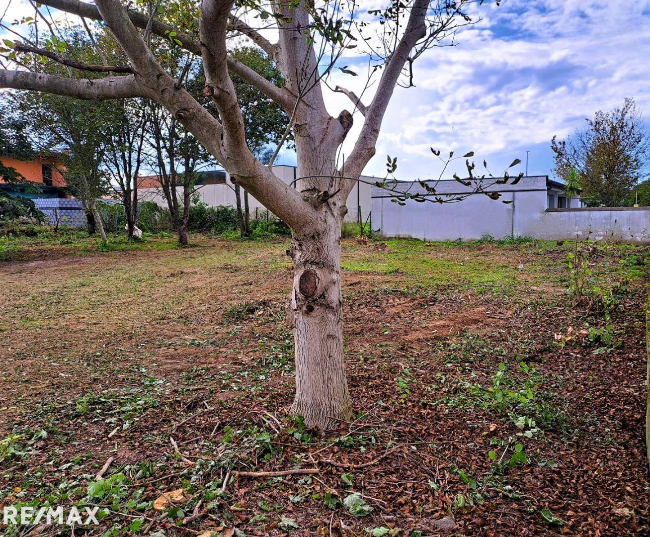 IMG-20230818-WA00001