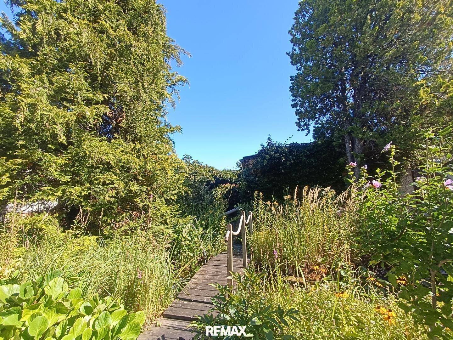 Üppiger grüner Garten mit einem Holzsteg, hohen Pflanzen und Bäumen unter strahlend blauem Himmel.