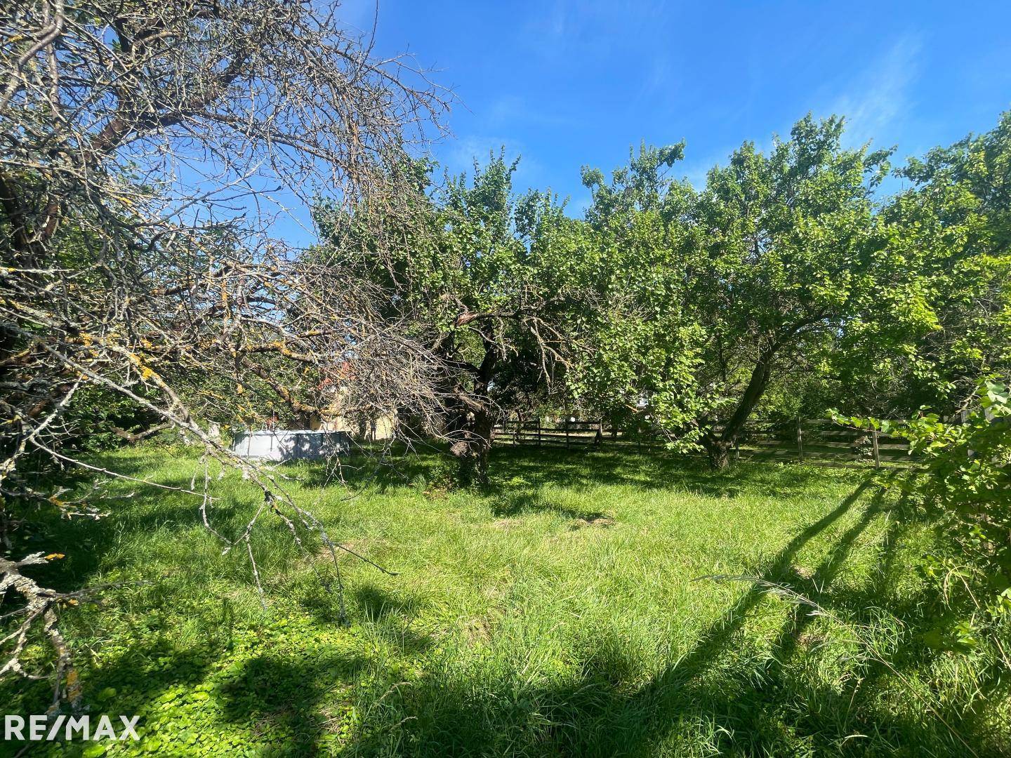 Weitläufiger Gartenbereich mit altem Baumbestand und viel natürlichem Grün unter blauem Himmel.