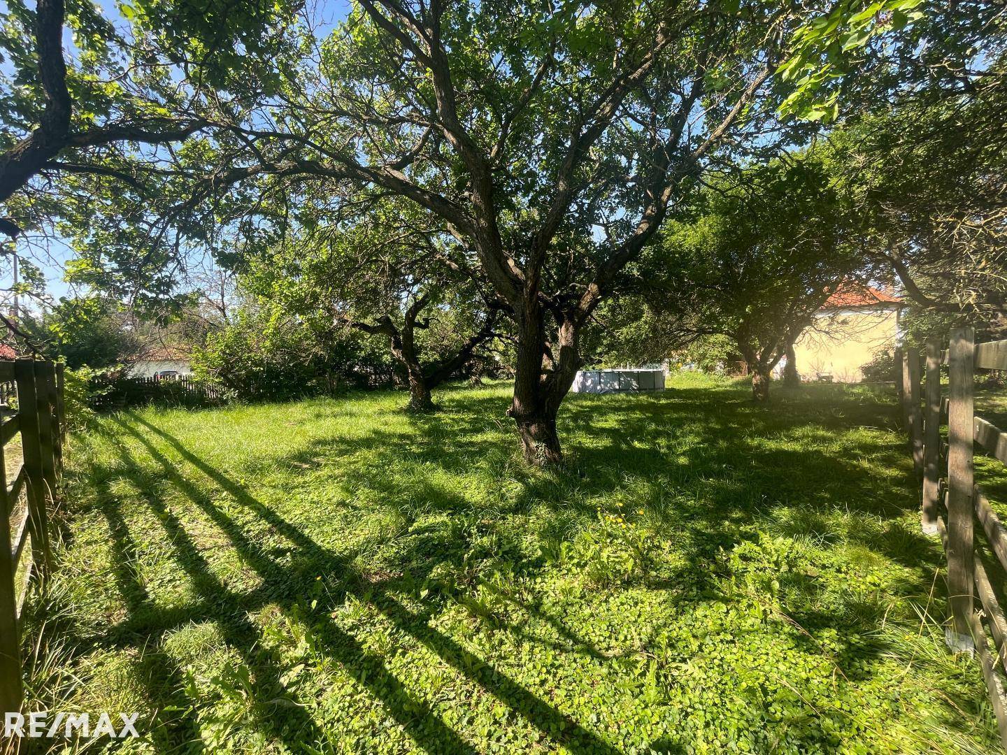 Idyllischer Garten mit schattenspendenden Bäumen und einer großen, sonnigen Rasenfläche.